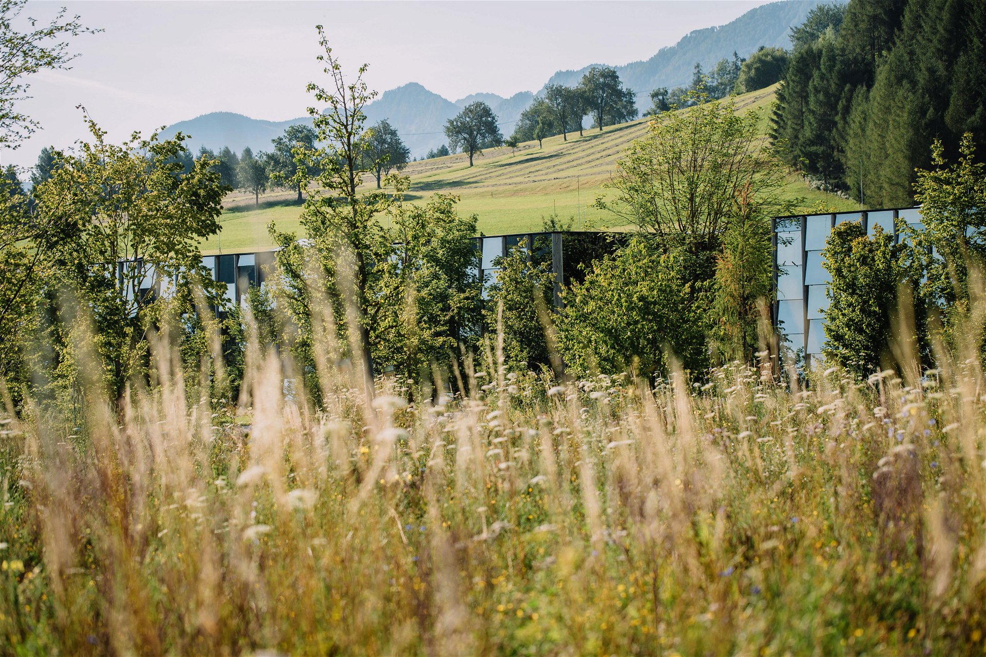 Coole Camouflage: Sanft eingebettet in die Natur ist der Firmensitz von Grüne Erde in Scharnstein. Im Inneren sorgen 13 Inseln heimischer Flora für Licht, Luft und Kühlung. terrain.eco