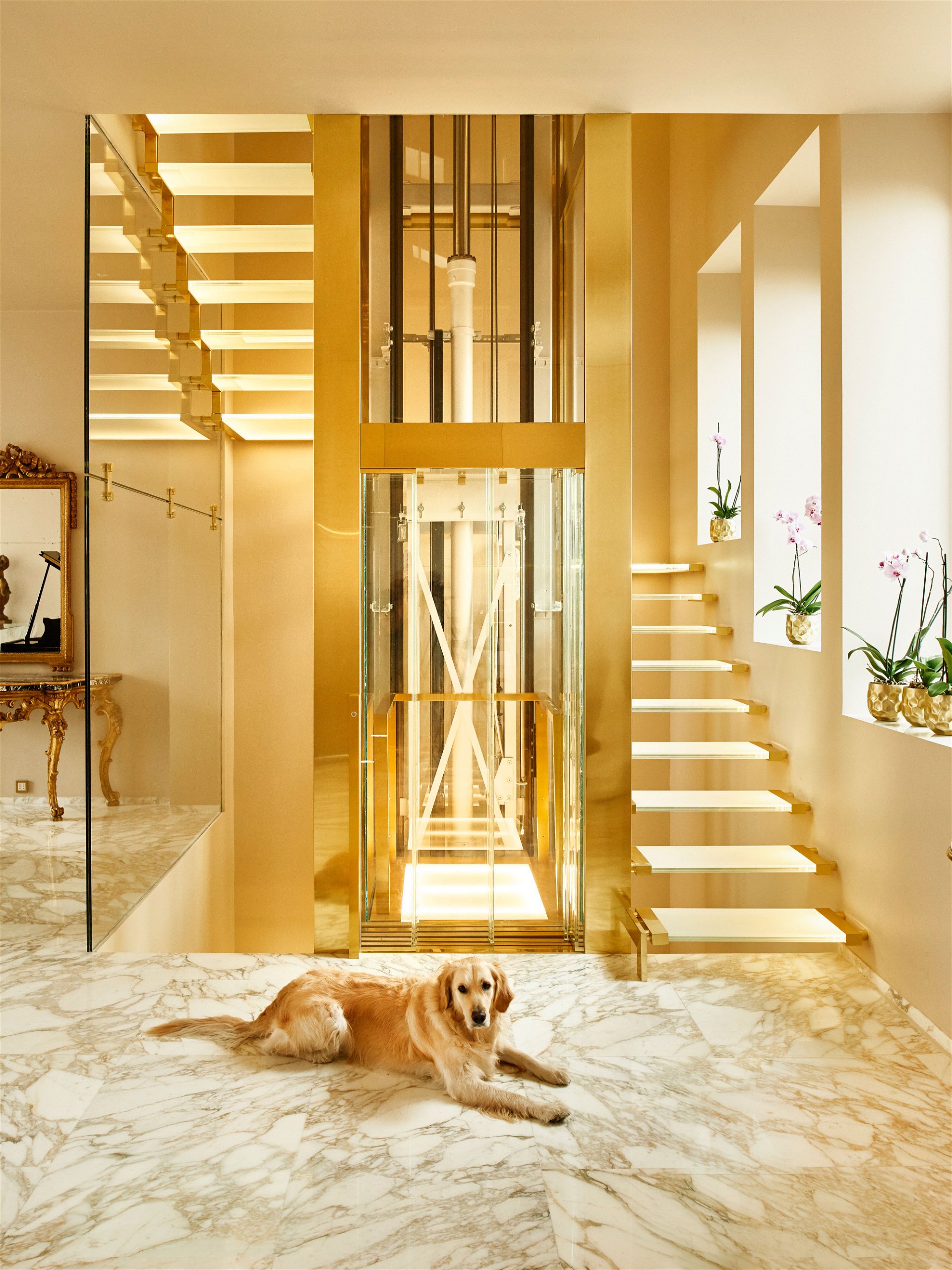 Stiegenhaus: Luna, ein Golden Retriever, empfängt alle Gäste bei ihrer Ankunft. Der speziell entworfene Lift führt in die oberen Etagen der Wohnung.