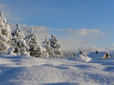 die-luxurioesesten-airbnb-winter-chalets