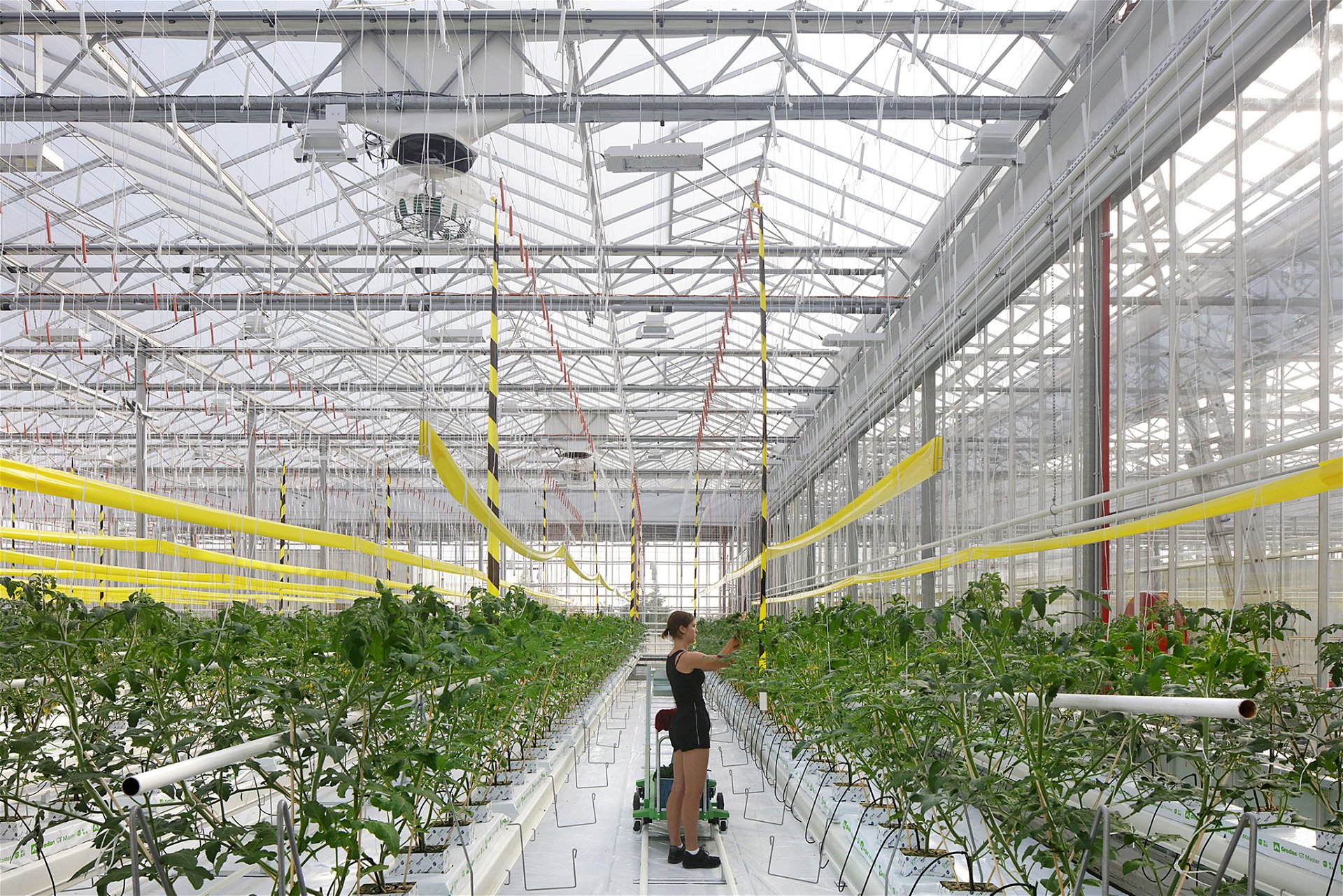 »Agrotopia« erstreckt sich über eine Dachfläche von 9.500 Quadratmetern in der belgischen Stadt Roeselare. vanbergenkolpa.nl