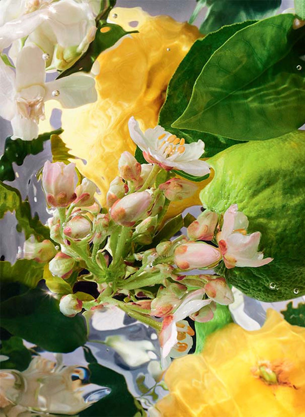 BERGAMOTTE-ESSENZ Diese kostbare, auch »grünes Gold von Kalabrien« genannte Frucht verleiht eine exquisite zitrursartige blumig-grüne Frische. guerlain.com