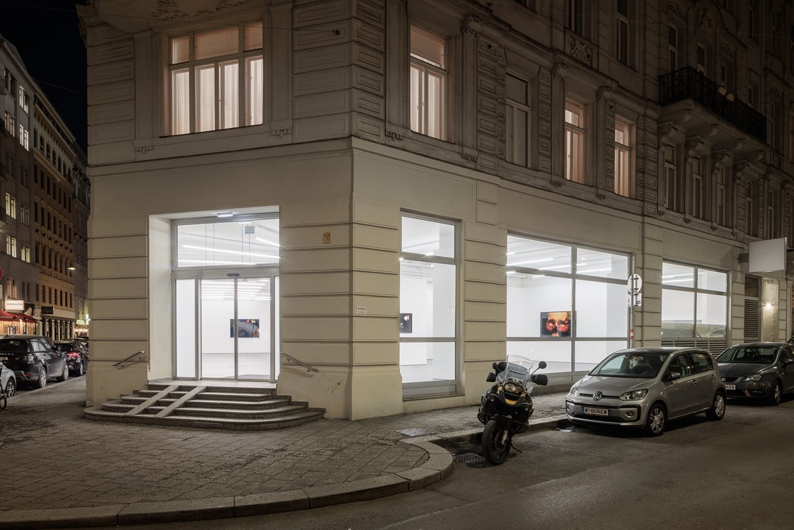 Seit Dezember verfügt die Galerie über neue Räumlichkeiten in der Wiener Singerstraße.